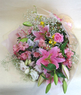 ����ԁ@���ԉԑ�/���}���e�B�b�N�J���[�ԑ��k